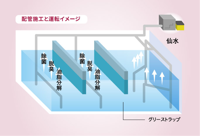 仙水の特徴3